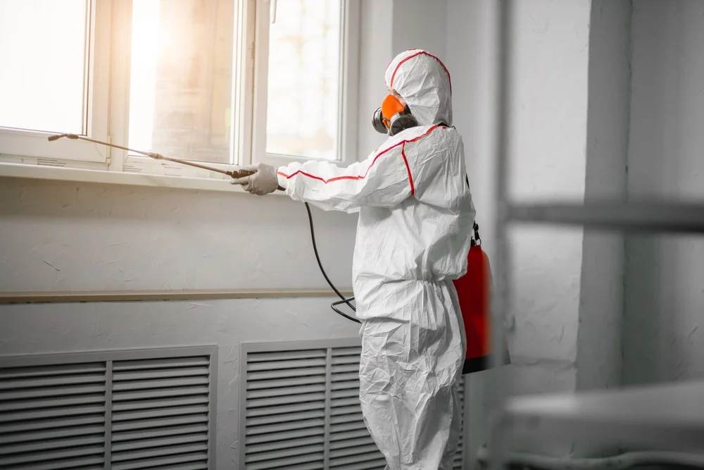 Professional mold remediation services in New Waverly, TX